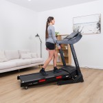 Lifespan Torque 4 Treadmill Lifespan Torque 4 Treadmill