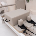 Lifespan Fitness Contour Pro Aluminum Pilates Reformer Bed Set (Hepburn)
