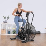 Lifespan EXC-10H Commercial Exercise Air Bike