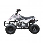 MW 110cc Sports Quad Bike - Pink