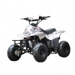 MW 110cc Sports Quad Bike - Pink