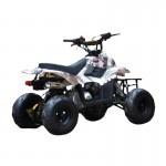 MW 110cc Sports Quad Bike - Pink