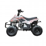 MW 110cc Sports Quad Bike - Red MW 110cc Sports Quad Bike - Red