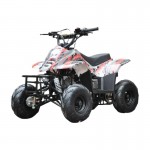 MW 110cc Sports Quad Bike - Red MW 110cc Sports Quad Bike - Red