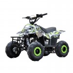 MW 110cc Sports Quad Bike - Green MW 110cc Sports Quad Bike - Green