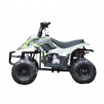 MW 110cc Sports Quad Bike - Green MW 110cc Sports Quad Bike - Green