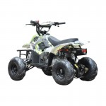 MW 110cc Sports Quad Bike - Green MW 110cc Sports Quad Bike - Green