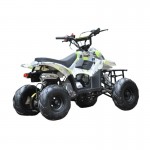 MW 110cc Sports Quad Bike - Green MW 110cc Sports Quad Bike - Green