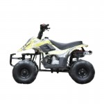 MW 110cc Sports Quad Bike - Yellow MW 110cc Sports Quad Bike - Yellow