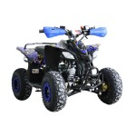 MW 110cc B-Style Sports Pro Quad Bike - Blue MW 110cc B-Style Sports Pro Quad Bike - Blue