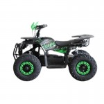 MW 1000W Electric Farm Quad Bike - Green MW 1000W Electric Farm Quad Bike - Green