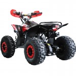 MW 125cc Sports Pro Quad Bike - Red MW 125cc Sports Pro Quad Bike - Red