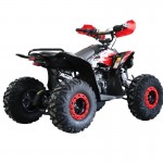 MW 125cc Sports Pro Quad Bike - Red MW 125cc Sports Pro Quad Bike - Red