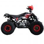 MW 125cc Sports Pro Quad Bike - Red MW 125cc Sports Pro Quad Bike - Red
