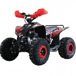 MW 125cc Sports Pro Quad Bike - Red MW 125cc Sports Pro Quad Bike - Red
