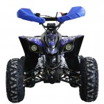 MW 125cc Sports Pro Quad Bike - Blue MW 125cc Sports Pro Quad Bike - Blue