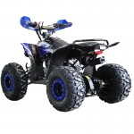 MW 125cc Sports Pro Quad Bike - Blue MW 125cc Sports Pro Quad Bike - Blue