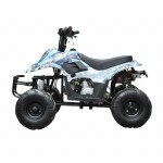 MW 110cc Sports Quad Bike - Blue MW 110cc Sports Quad Bike - Blue