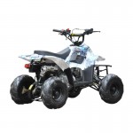 MW 110cc Sports Quad Bike - Blue MW 110cc Sports Quad Bike - Blue