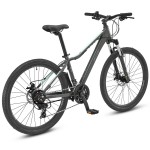 XDS Swift 6.0 26" x 15" Ladies Mountain Bike - Shadow