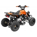 GMX 110cc The Beast Sports Quad Bike - Orange