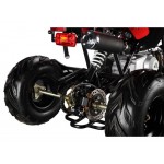 GMX 110cc The Beast Sports Quad Bike - Red
