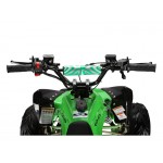 GMX 110cc The Beast Sports Quad Bike - Green