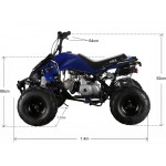 GMX 110cc The Beast Sports Quad Bike - Blue