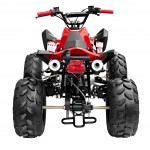 GMX 125cc The Beast Sports Quad Bike - Red