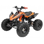 GMX 125cc The Beast Sports Quad Bike - Orange