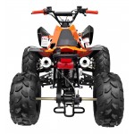 GMX 125cc The Beast Sports Quad Bike - Orange