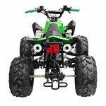 GMX 125cc The Beast Sports Quad Bike - Green