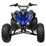 GMX 125cc The Beast Sports Quad Bike - Blue