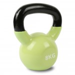 Lifespan Cortex Cast Iron Kettlebell 8kg Lifespan Cortex Cast Iron Kettlebell 8kg