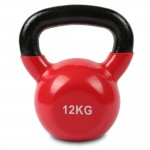 Lifespan Cortex Cast Iron Kettlebell 12kg Lifespan Cortex Cast Iron Kettlebell 12kg
