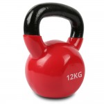 Lifespan Cortex Cast Iron Kettlebell 12kg Lifespan Cortex Cast Iron Kettlebell 12kg