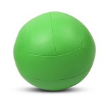 Lifespan Cortex 4kg Wall Ball