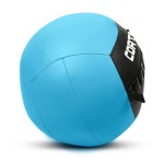 Lifespan Cortex 6kg Wall Ball