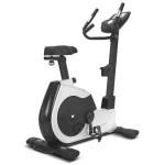 Lifespan EXC-100 Commercial Exercise Bike