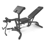 Lifespan CORTEX BN-11 Exercise FID Bench + 85kg Olympic Tri-Grip Weight Plate and Dumbbell Package