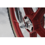 Skyway 2022 TA 20 PRO Replica BMX Bike Chrome/Red Wheel