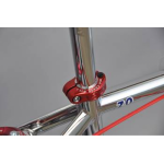 Skyway 2022 TA 20 PRO Replica BMX Bike Chrome/Red Wheel