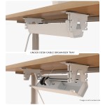 Lifespan ErgoDesk Automatic Standing Desk 1500mm (White) + Cable Management Tray