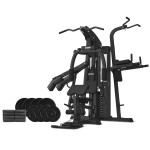 Lifespan CORTEX GS7 Multi Station Home Gym with 98kg Weight Stack + 60kg Weight Plates Package