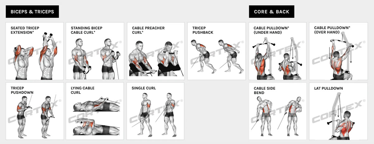 Cortex SS3 Multi-Function Home Gym | Go Easy Online